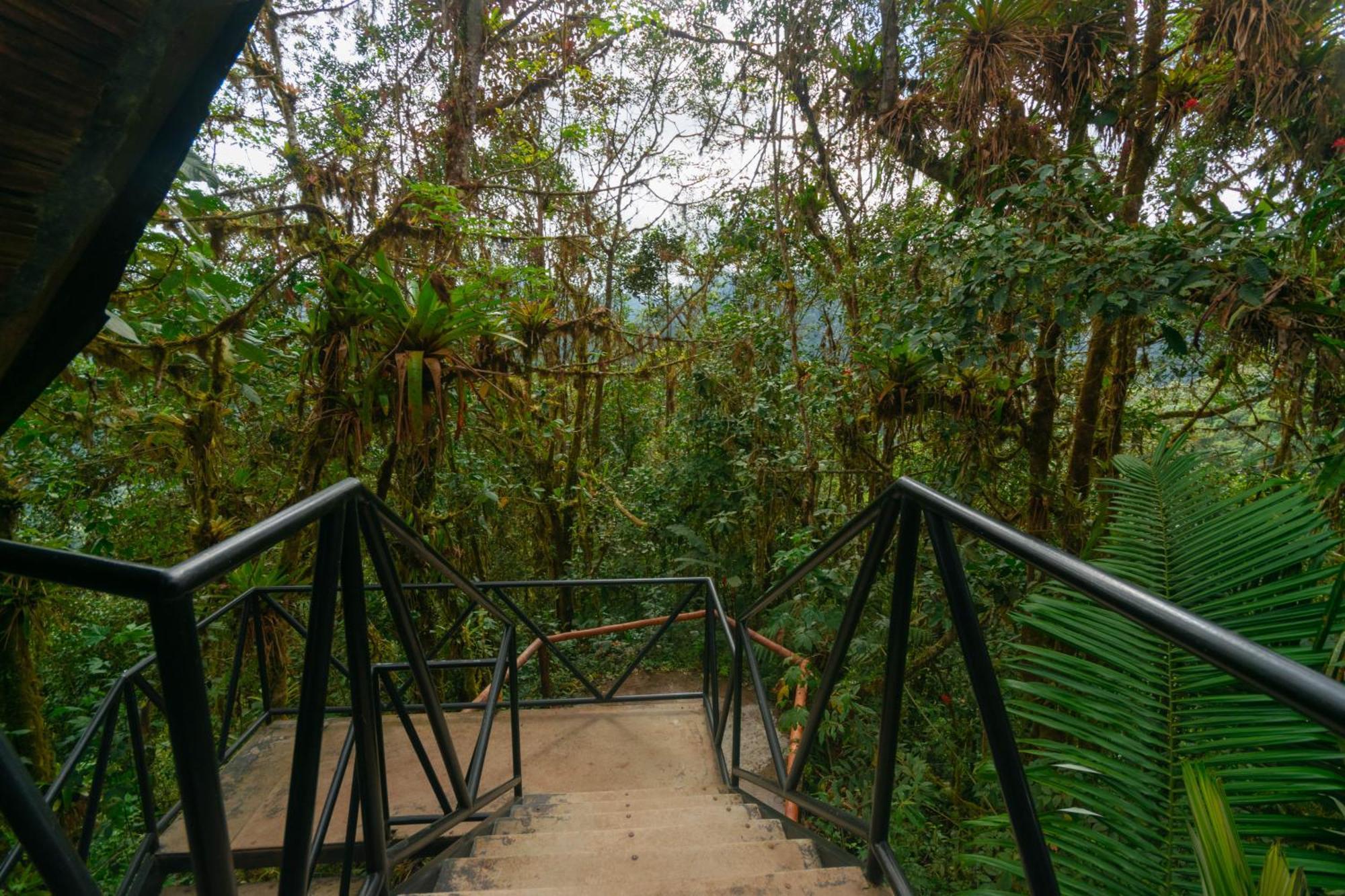 Bellavista Cloud Forest Lodge & Private Protected Area Tandayapa Bagian luar foto