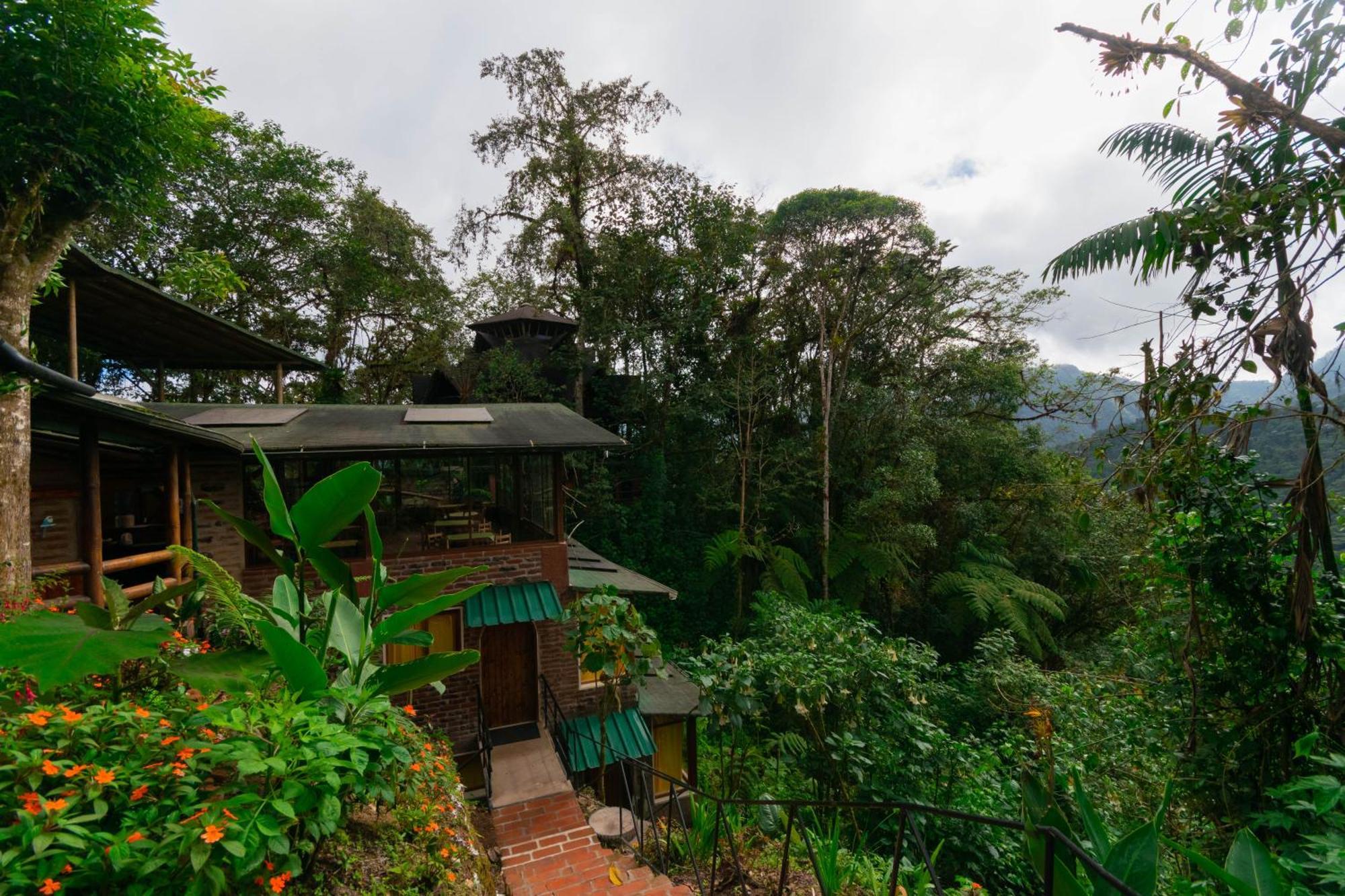 Bellavista Cloud Forest Lodge & Private Protected Area Tandayapa Bagian luar foto