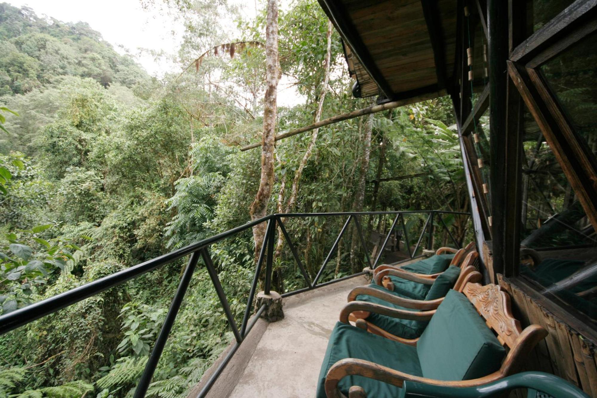 Bellavista Cloud Forest Lodge & Private Protected Area Tandayapa Bagian luar foto
