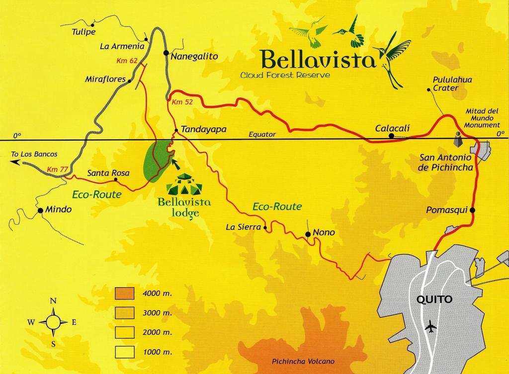 Bellavista Cloud Forest Lodge & Private Protected Area Tandayapa Bagian luar foto