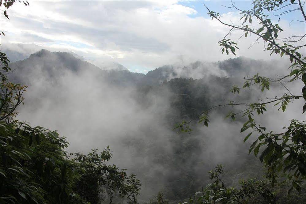 Bellavista Cloud Forest Lodge & Private Protected Area Tandayapa Bagian luar foto
