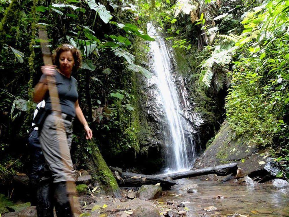 Bellavista Cloud Forest Lodge & Private Protected Area Tandayapa Bagian luar foto