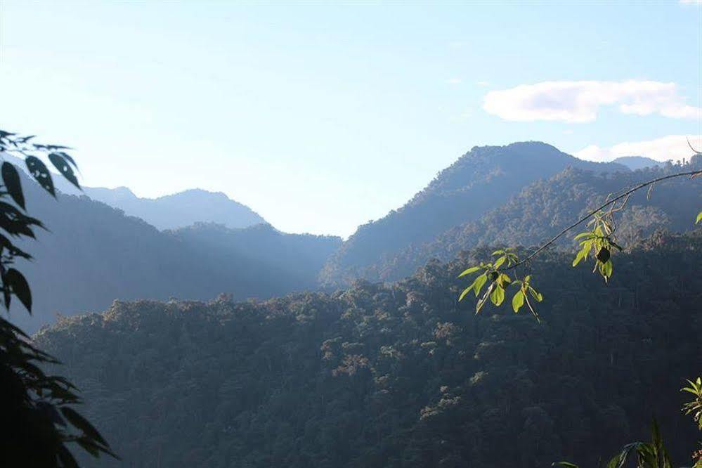 Bellavista Cloud Forest Lodge & Private Protected Area Tandayapa Bagian luar foto